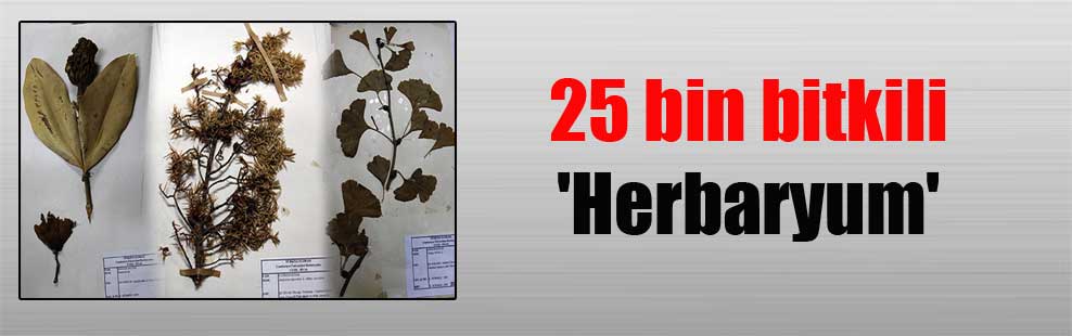 25 bin bitkili ‘Herbaryum’