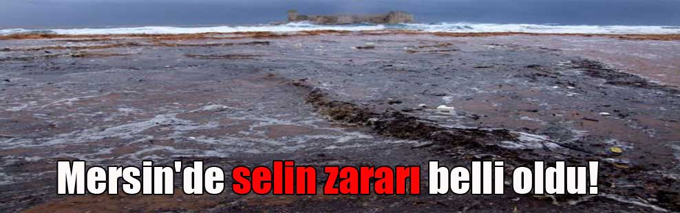 Mersin’de selin zararı belli oldu!