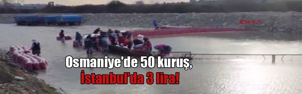 Osmaniye’de 50 kuruş, İstanbul’da 3 lira!