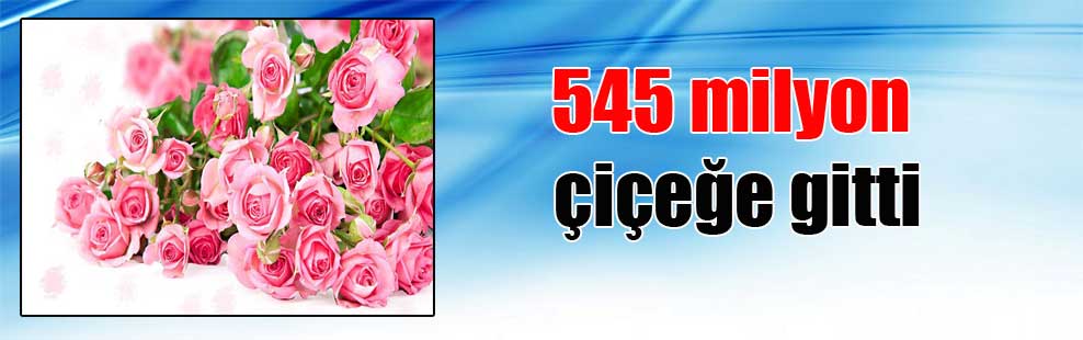545 milyon çiçeğe gitti