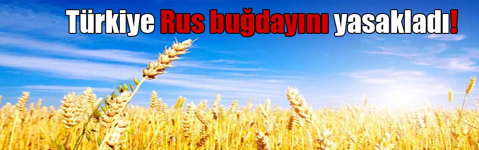 Türkiye Rus buğdayını yasakladı