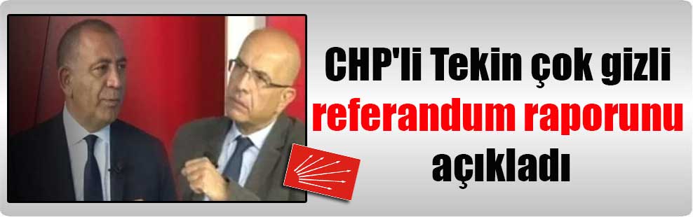 CHP’li Tekin çok gizli referandum raporunu açıkladı