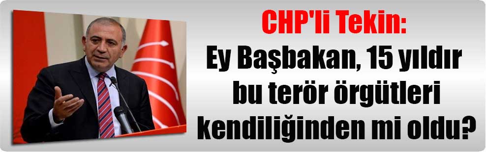 CHP’li Tekin: Ey Başbakan, 15 yıldır bu terör örgütleri kendiliğinden mi oldu?