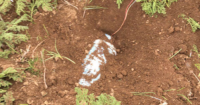 PKK’ya ait 3 bombalı tuzak imha edildi
