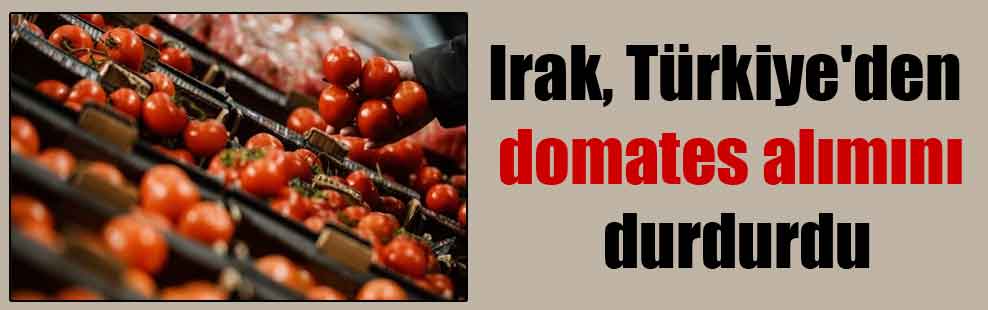 Irak, Türkiye’den domates alımını durdurdu