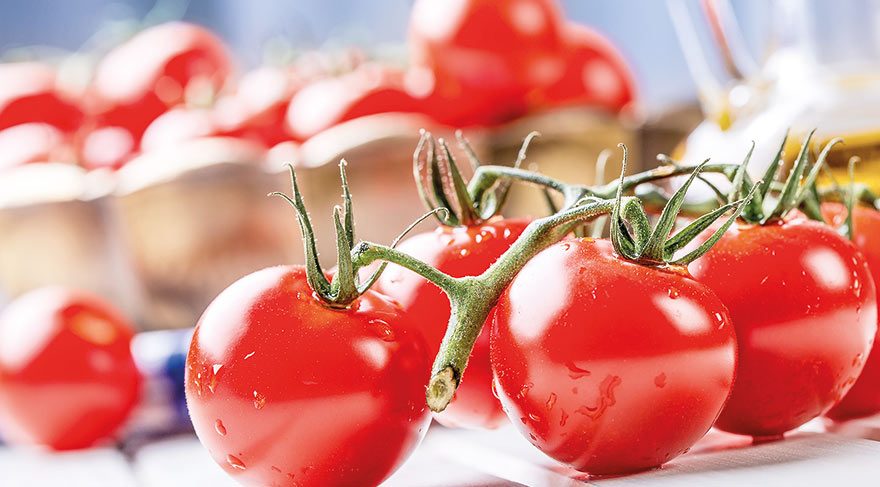 Mide kanserine karşı domates