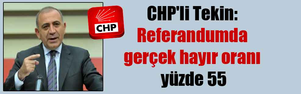 CHP’li Tekin: Referandumda gerçek hayır oranı yüzde 55