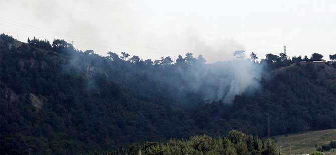 500 metrekarelik orman yandı