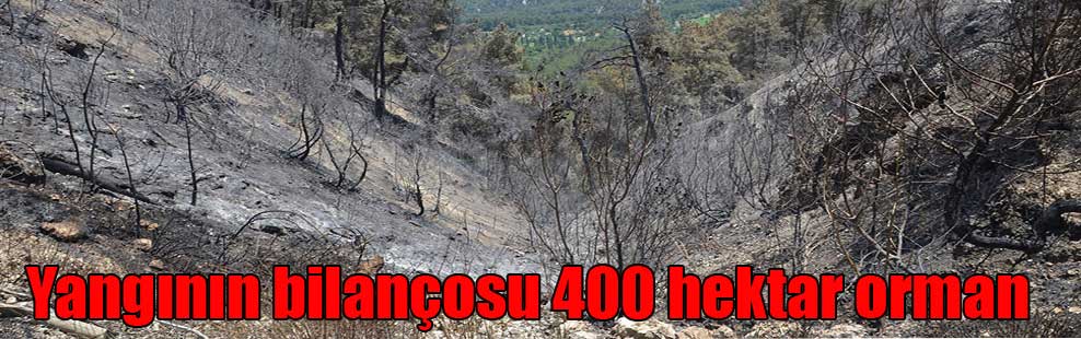 Yangının bilançosu 400 hektar orman
