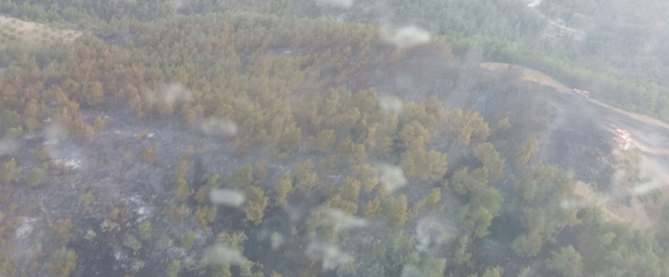 Amanoslar’da 7 hektarlık orman yandı