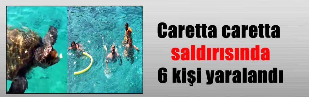 Caretta caretta saldırısında 6 kişi yaralandı