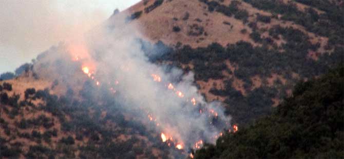 Tunceli’de 6 bölgede orman yangını
