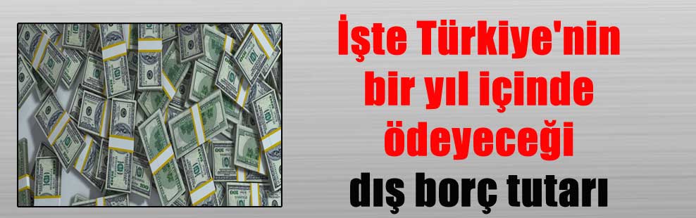 İşte Türkiye’nin bir yıl içinde ödeyeceği dış borç tutarı