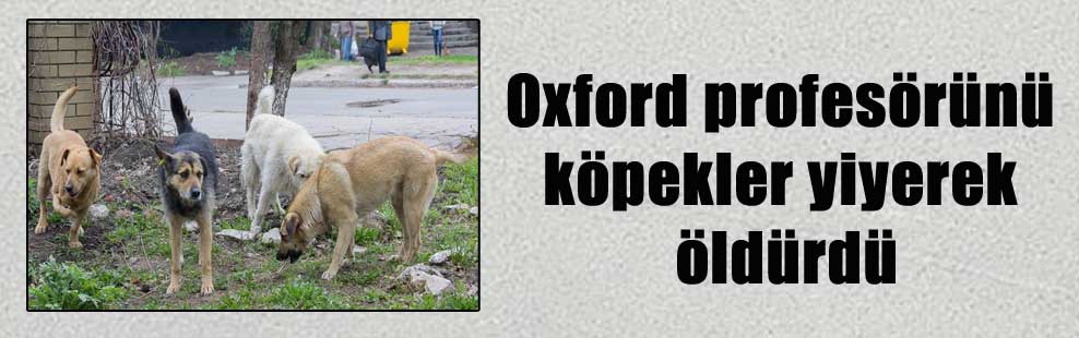 Oxford profesörünü köpekler yiyerek öldürdü