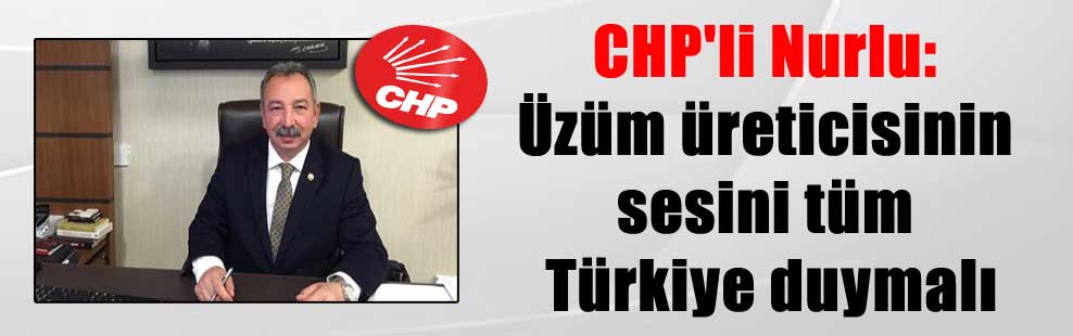 CHP’li Nurlu: Üzüm üreticisinin sesini tüm Türkiye duymalı