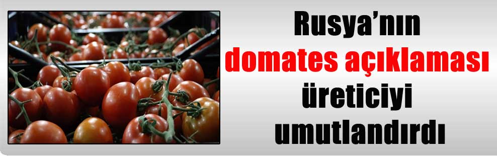 Rusya’nın domates açıklaması üreticiyi umutlandırdı
