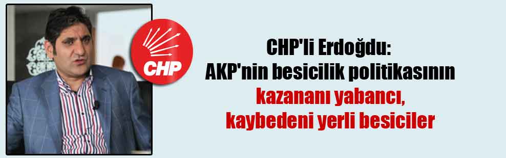 CHP’li Erdoğdu: AKP’nin besicilik politikasının kazananı yabancı, kaybedeni yerli besiciler
