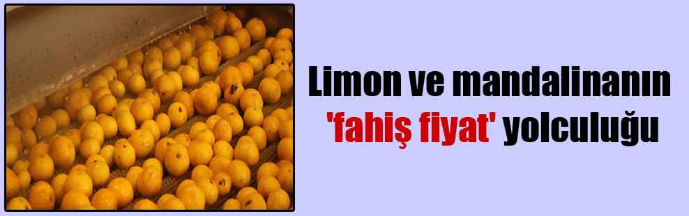 Limon ve mandalinanın ‘fahiş fiyat’ yolculuğu