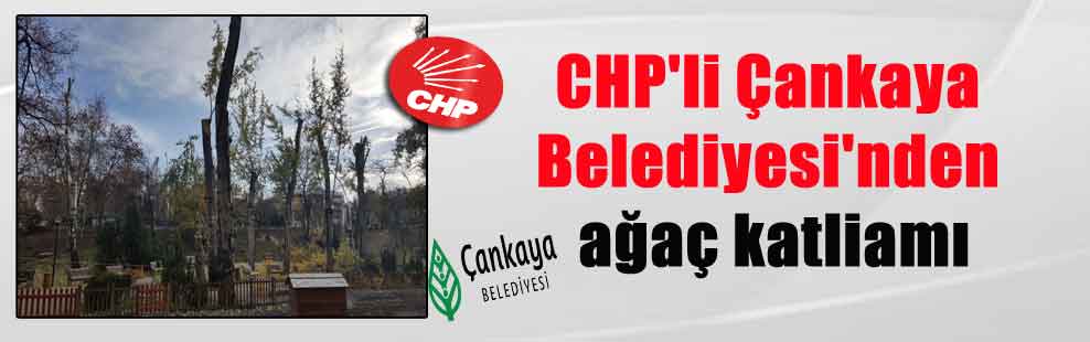 CHP’li Çankaya Belediyesi’nden ağaç katliamı