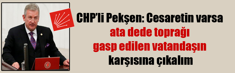 CHP’li Pekşen: Cesaretin varsa ata dede toprağı gasp edilen vatandaşın karşısına çıkalım