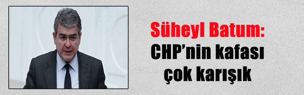 Süheyl Batum: CHP’nin kafası çok karışık