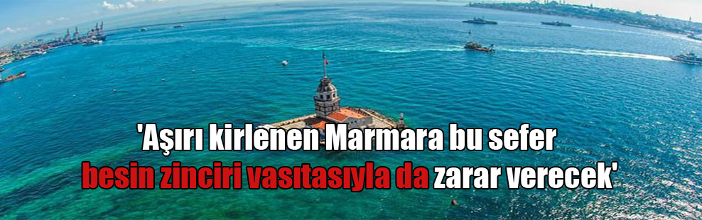 ‘Aşırı kirlenen Marmara bu sefer besin zinciri vasıtasıyla da zarar verecek’