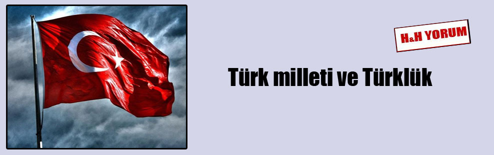 Türk milleti ve Türklük