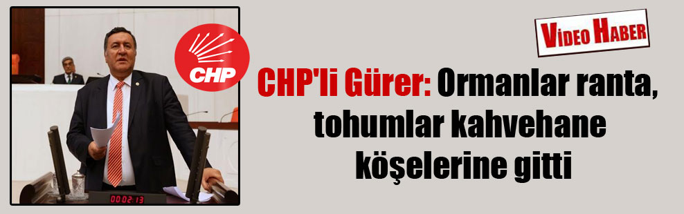 CHP’li Gürer: Ormanlar ranta, tohumlar kahvehane köşelerine gitti