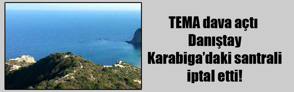 TEMA dava açtı Danıştay Karabiga’daki santrali iptal etti!