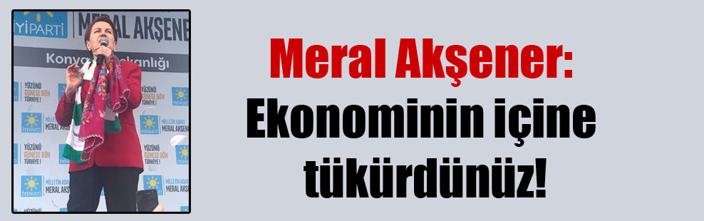Meral Akşener: Ekonominin içine tükürdünüz!