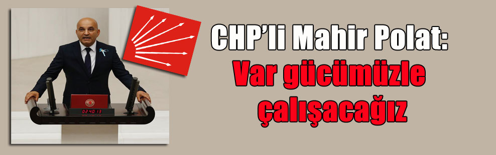 CHP’li Mahir Polat: Var gücümüzle çalışacağız