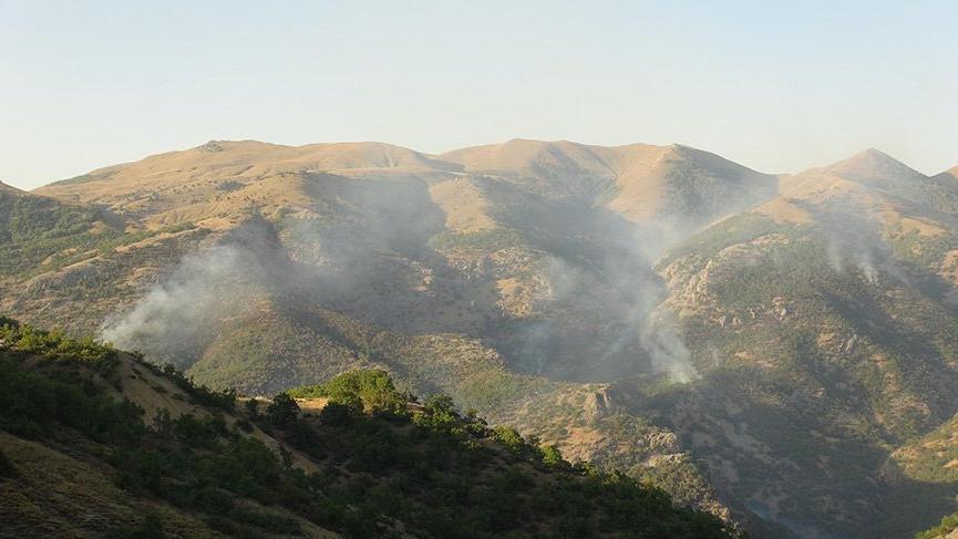 Tunceli’deki orman yangınına havadan müdahale talebi