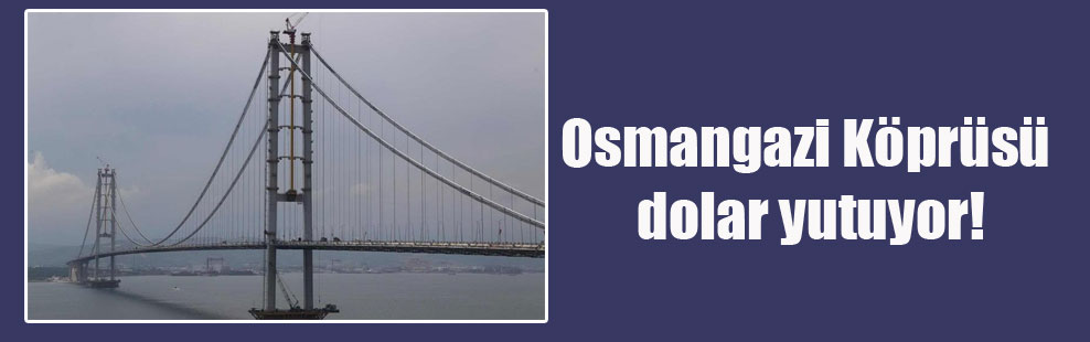 Osmangazi Köprüsü dolar yutuyor!