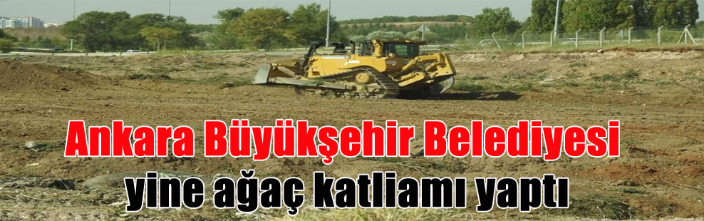 Ankara Büyükşehir Belediyesi yine ağaç katliamı yaptı