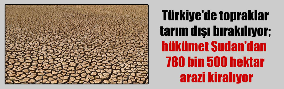 Türkiye’de topraklar tarım dışı bırakılıyor; hükümet Sudan’dan 780 bin 500 hektar arazi kiralıyor
