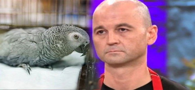 MasterChef Murat Özdemir’in işkence uyguladığı papağandan kötü haber