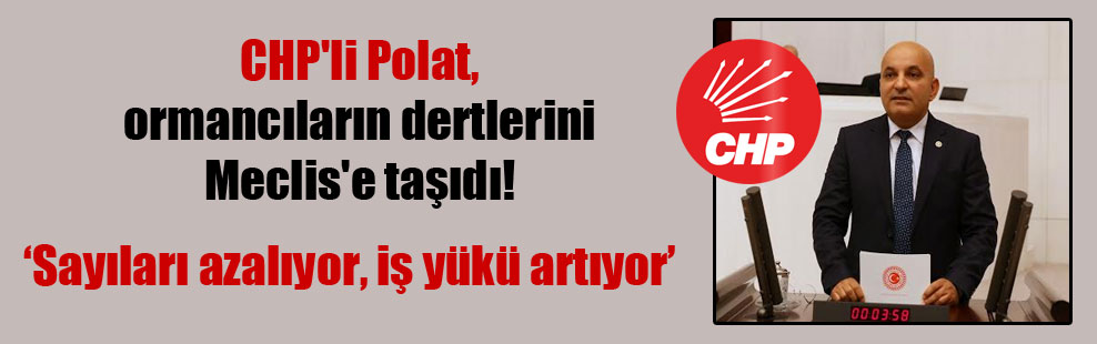 CHP’li Polat, ormancıların dertlerini Meclis’e taşıdı!