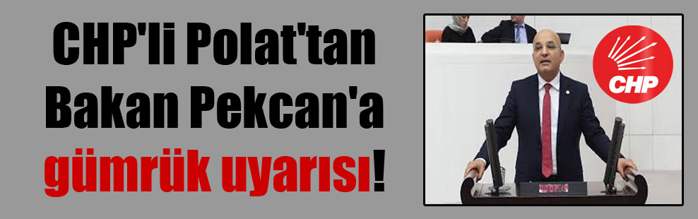 CHP’li Polat’tan Bakan Pekcan’a gümrük uyarısı!