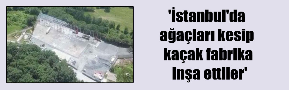 ‘İstanbul’da ağaçları kesip kaçak fabrika inşa ettiler’