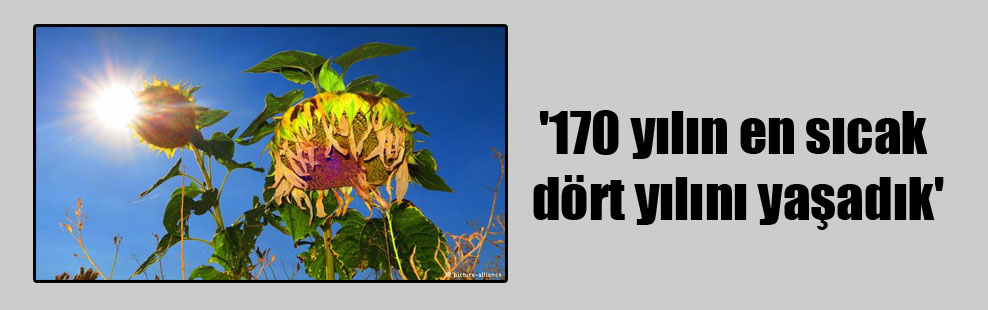 ‘170 yılın en sıcak dört yılını yaşadık’