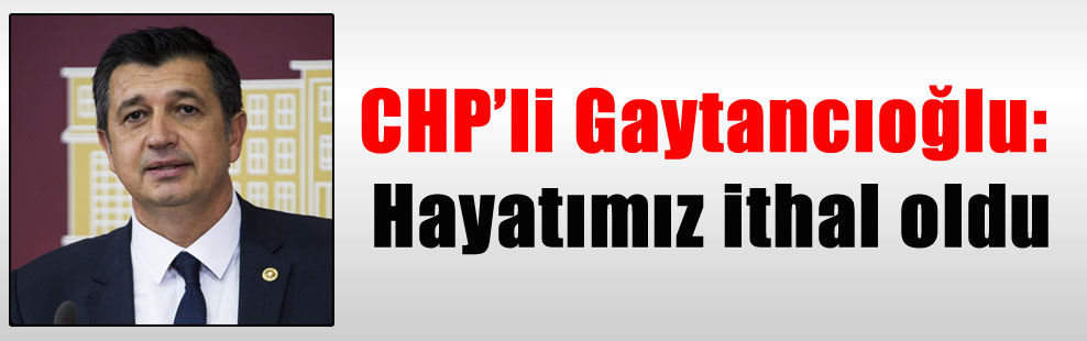 CHP’li Gaytancıoğlu: Hayatımız ithal oldu