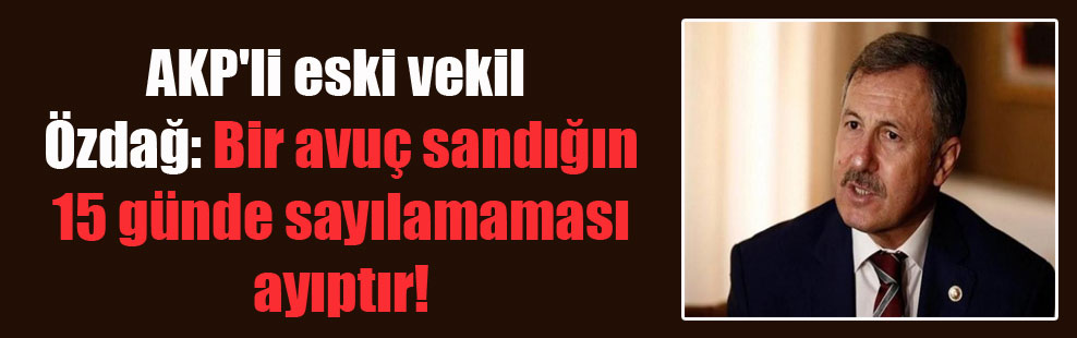 AKP’li eski vekil Özdağ: Bir avuç sandığın 15 günde sayılamaması ayıptır!