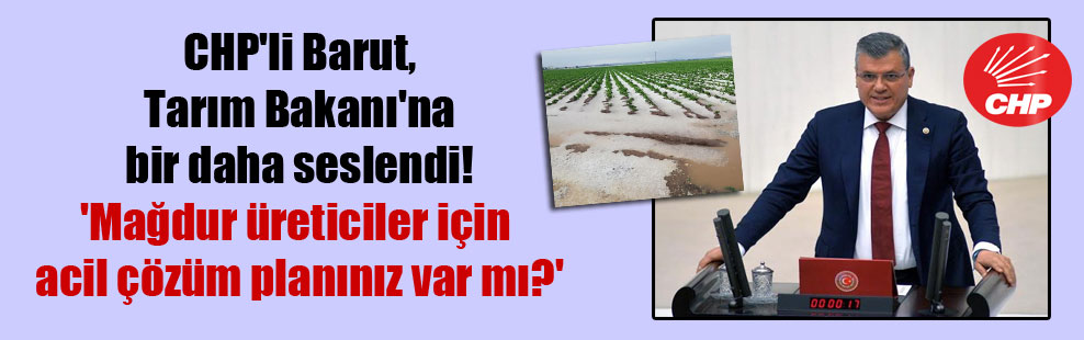 CHP’li Barut,Tarım Bakanı’na bir daha seslendi! ‘Mağdur üreticiler için acil çözüm planınız var mı?’
