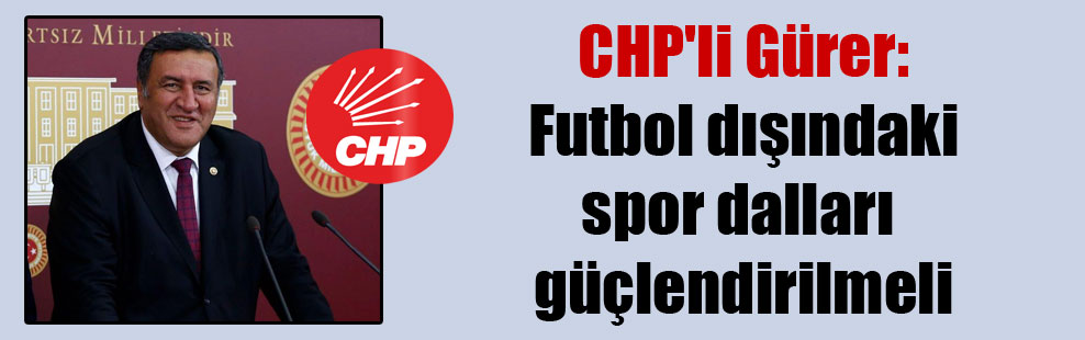 CHP’li Gürer: Futbol dışındaki spor dalları güçlendirilmeli