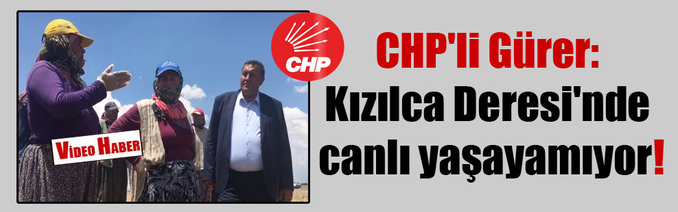 CHP’li Gürer: Kızılca Deresi’nde canlı yaşayamıyor!