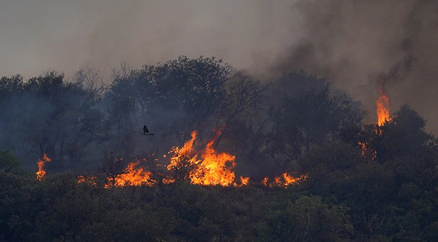 İspanya orman yangınlarıyla mücadele ediyor