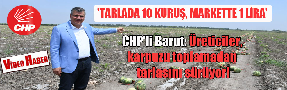 CHP’li Barut: Üreticiler, karpuzu toplamadan tarlasını sürüyor! ‘Tarlada 10 kuruş, markette 1 lira’
