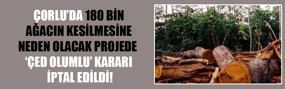 Çorlu’da 180 bin ağacın kesilmesine neden olacak projede ‘ÇED olumlu’ kararı iptal edildi!