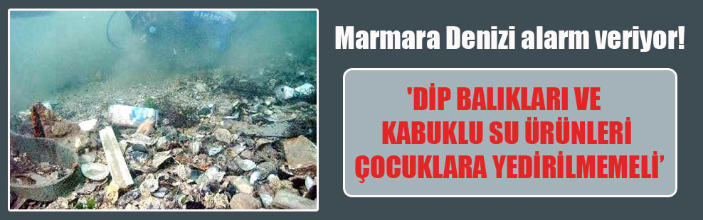 Marmara Denizi alarm veriyor!  ‘Dip balıkları ve kabuklu su ürünleri çocuklara yedirilmemeli’