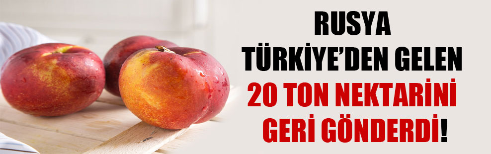 Rusya Türkiye’de gelen 20 ton nektarini geri gönderdi!
